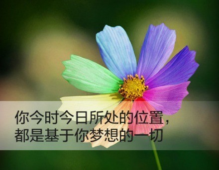 特黄的网名_WWW.WHOISQQ.COM
