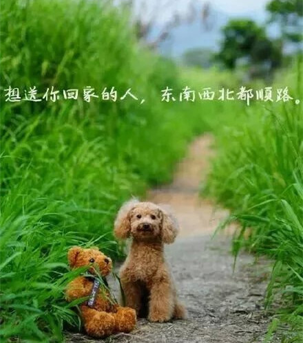 代表悠闲的网名_WWW.WHOISQQ.COM