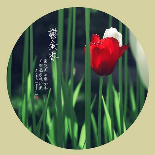 普通网名短字qq2018_WWW.WHOISQQ.COM
