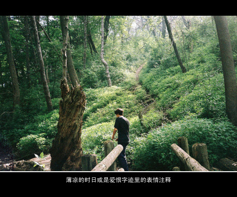 彼岸花不带符号的网名_WWW.WHOISQQ.COM
