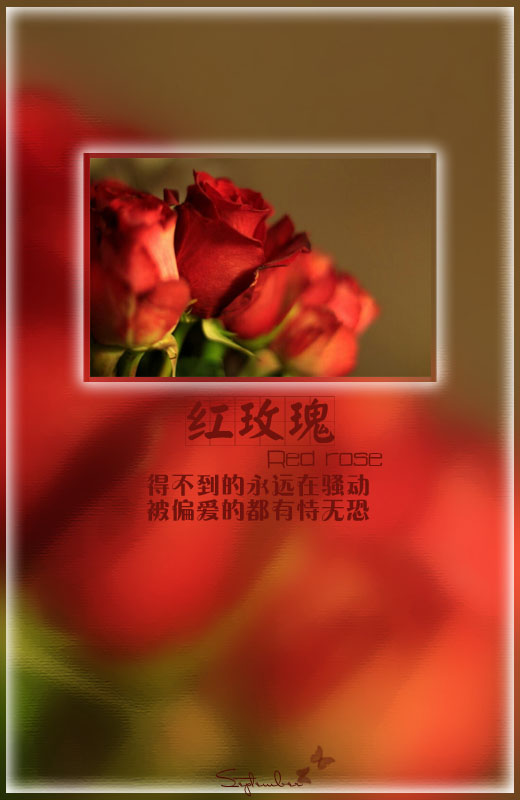 网名落叶风行什么意思_WWW.WHOISQQ.COM