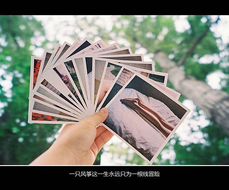关于丹儿的网名_WWW.WHOISQQ.COM
