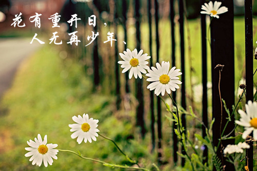 游戏网名符号c字开头_WWW.WHOISQQ.COM