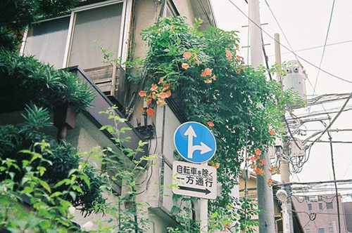带媛字的网名四个字_WWW.WHOISQQ.COM