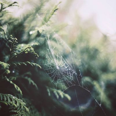 闺蜜英语网名_WWW.WHOISQQ.COM