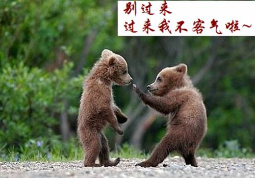 天秤座的qq网名_WWW.WHOISQQ.COM