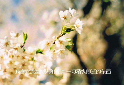 一夜走红网名_WWW.WHOISQQ.COM