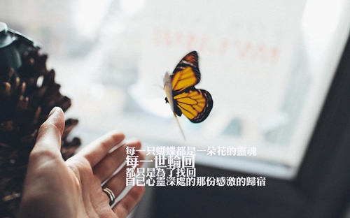 qq网名 字繁体_WWW.WHOISQQ.COM