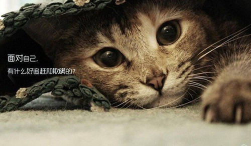忘掉过去五个字的网名_WWW.WHOISQQ.COM