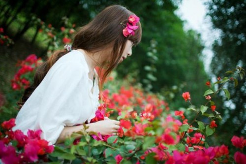 时尚 繁体字网名_WWW.WHOISQQ.COM