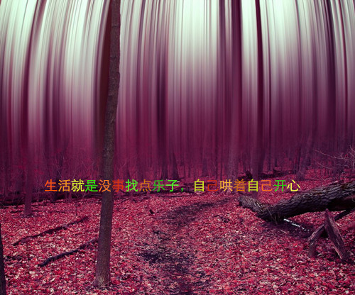 cf网名加kiss_WWW.WHOISQQ.COM