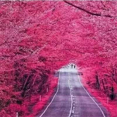 带兔字可爱的网名_WWW.WHOISQQ.COM