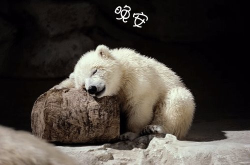 最拽霸气 网名_WWW.WHOISQQ.COM