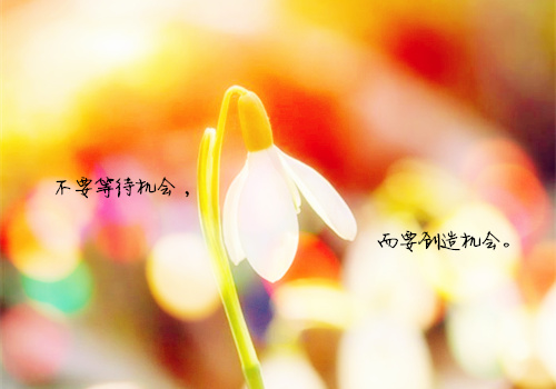 网名我不配带符号_WWW.WHOISQQ.COM