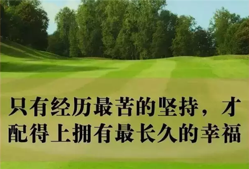 网名八个字女生_WWW.WHOISQQ.COM
