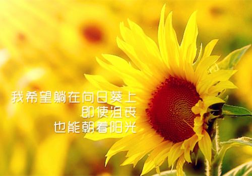 情侣网名霸气搞怪_WWW.WHOISQQ.COM