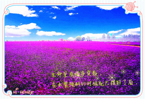 网名经典有内涵的诗_WWW.WHOISQQ.COM