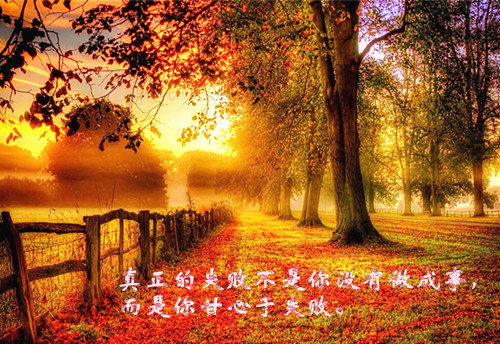 以前同学网名_WWW.WHOISQQ.COM