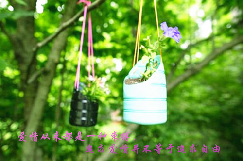 迷恋 网名_WWW.WHOISQQ.COM