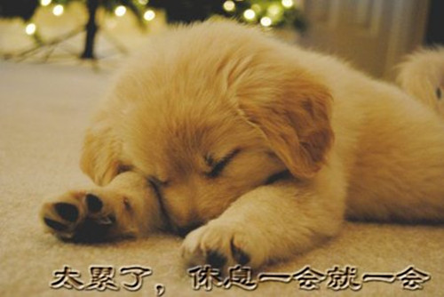 2018qq网名男生萌_WWW.WHOISQQ.COM