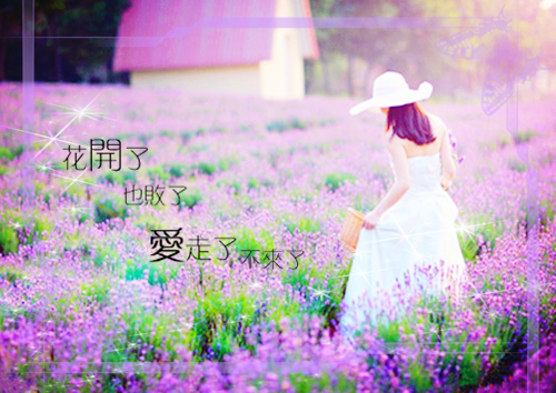 带韦字的诗意的网名_WWW.WHOISQQ.COM