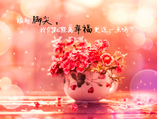 四字女网名唯美有气质_WWW.WHOISQQ.COM