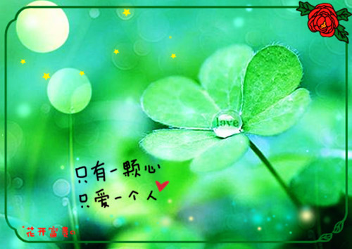 男士时髦的网名_WWW.WHOISQQ.COM