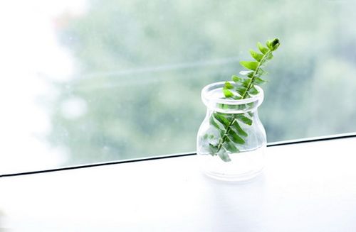 网名动物符号_WWW.WHOISQQ.COM