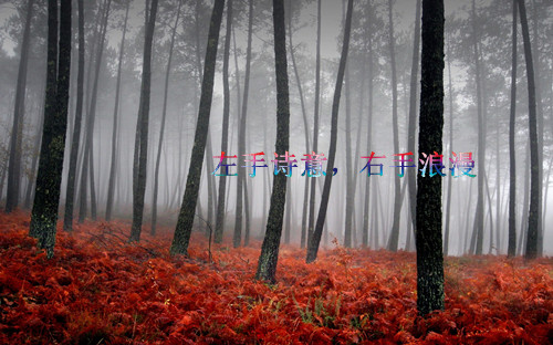 浪漫复古情侣网名_WWW.WHOISQQ.COM