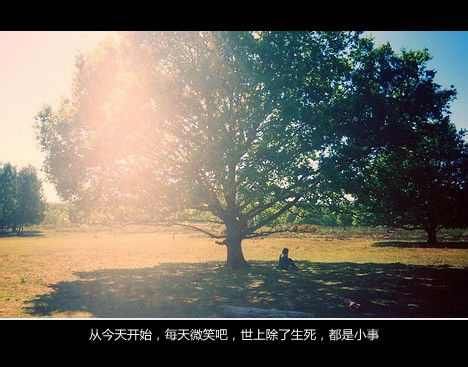 清新可爱 网名_WWW.WHOISQQ.COM