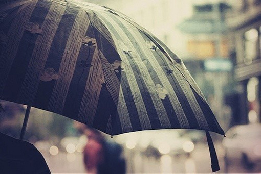 兰字微信网名_WWW.WHOISQQ.COM
