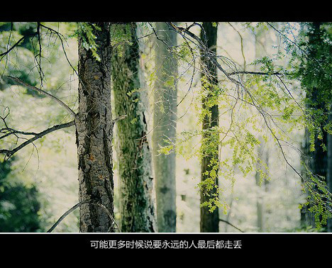 qq女生网名符号多_WWW.WHOISQQ.COM