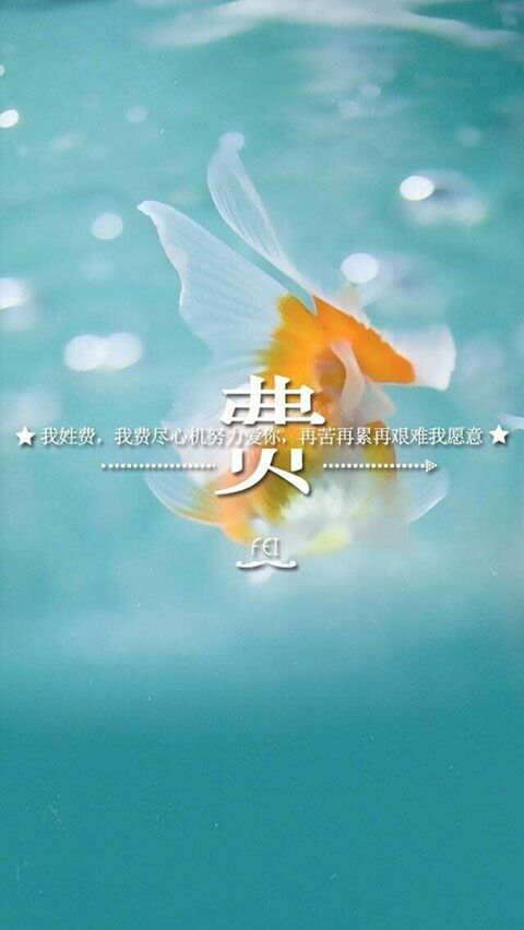 网名个性签名学习_WWW.WHOISQQ.COM