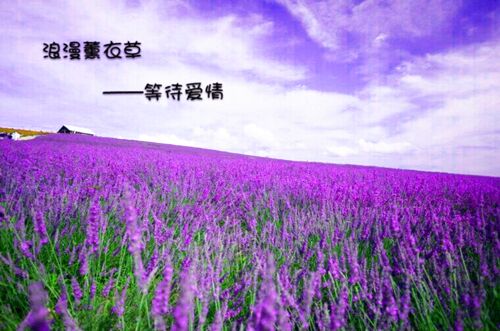 好听 朋友 网名_WWW.WHOISQQ.COM