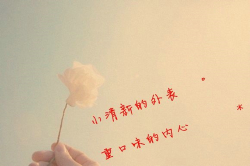 好听 女网名_WWW.WHOISQQ.COM