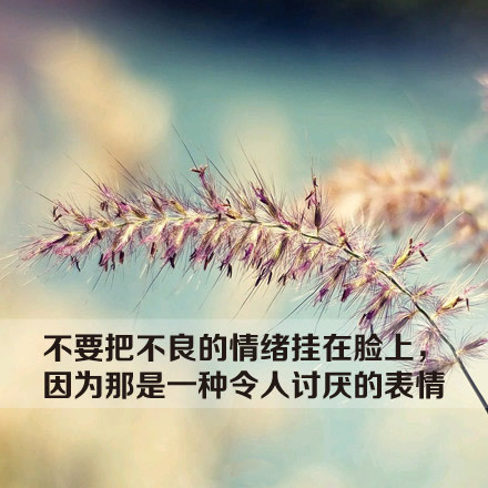 我喜欢四个词语的网名_WWW.WHOISQQ.COM