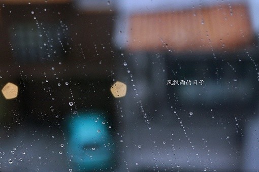 三个字单身女人的网名_WWW.WHOISQQ.COM