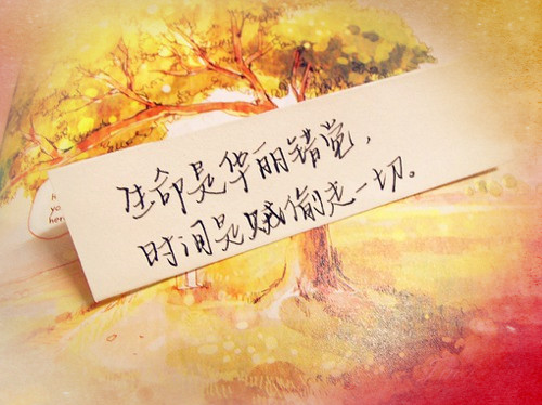 霸道小孩网名大全_WWW.WHOISQQ.COM