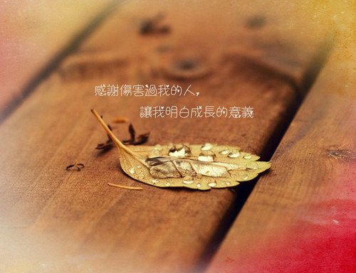 女生心情失落的网名_WWW.WHOISQQ.COM