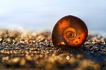 qq成熟四字网名男_WWW.WHOISQQ.COM
