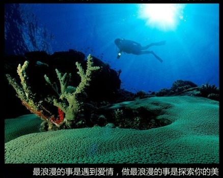 qq网名三十多岁人用的_WWW.WHOISQQ.COM