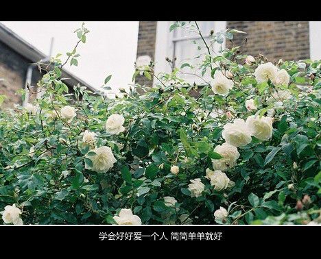 若开头网名_WWW.WHOISQQ.COM
