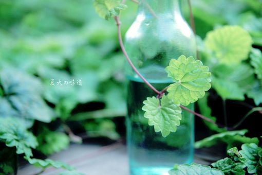 qq简洁男网名_WWW.WHOISQQ.COM