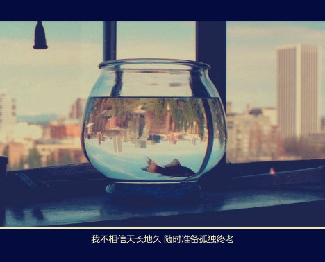青春清纯伤感网名_WWW.WHOISQQ.COM