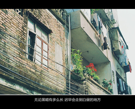 关于秀字的网名_WWW.WHOISQQ.COM