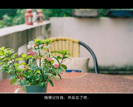 共同创业网名起个啥好_WWW.WHOISQQ.COM