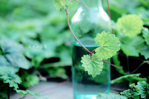 有熊字的网名_WWW.WHOISQQ.COM