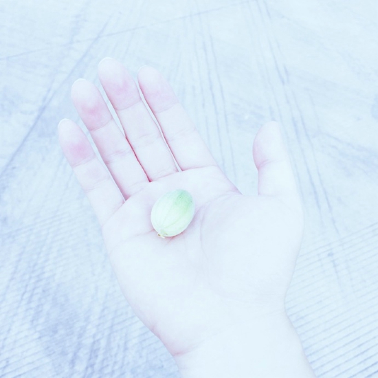 有关张起灵的网名_WWW.WHOISQQ.COM