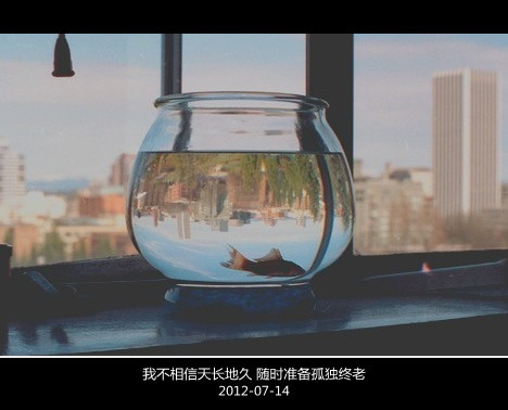 关于女生努力的网名_WWW.WHOISQQ.COM