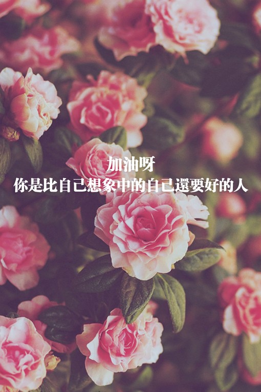 超炫酷 网名_WWW.WHOISQQ.COM